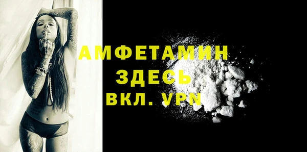 крисы Баксан